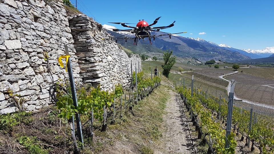 Sprühdrohne über Weinreben (Photo: AgroFly SA)