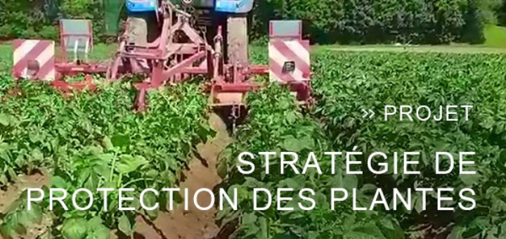 Vidéos sur la stratégie de protection des plantes : progresser ensemble